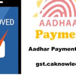 Aadhaar Payment App, Aadhar Payment System