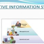 Executive Information System