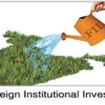 Formation of Foreign Institutional Investor by Foreign Entity